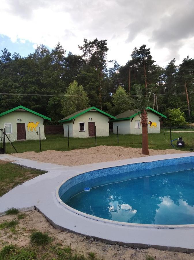 Domki Pod Lasem Płońsk Dış mekan fotoğraf